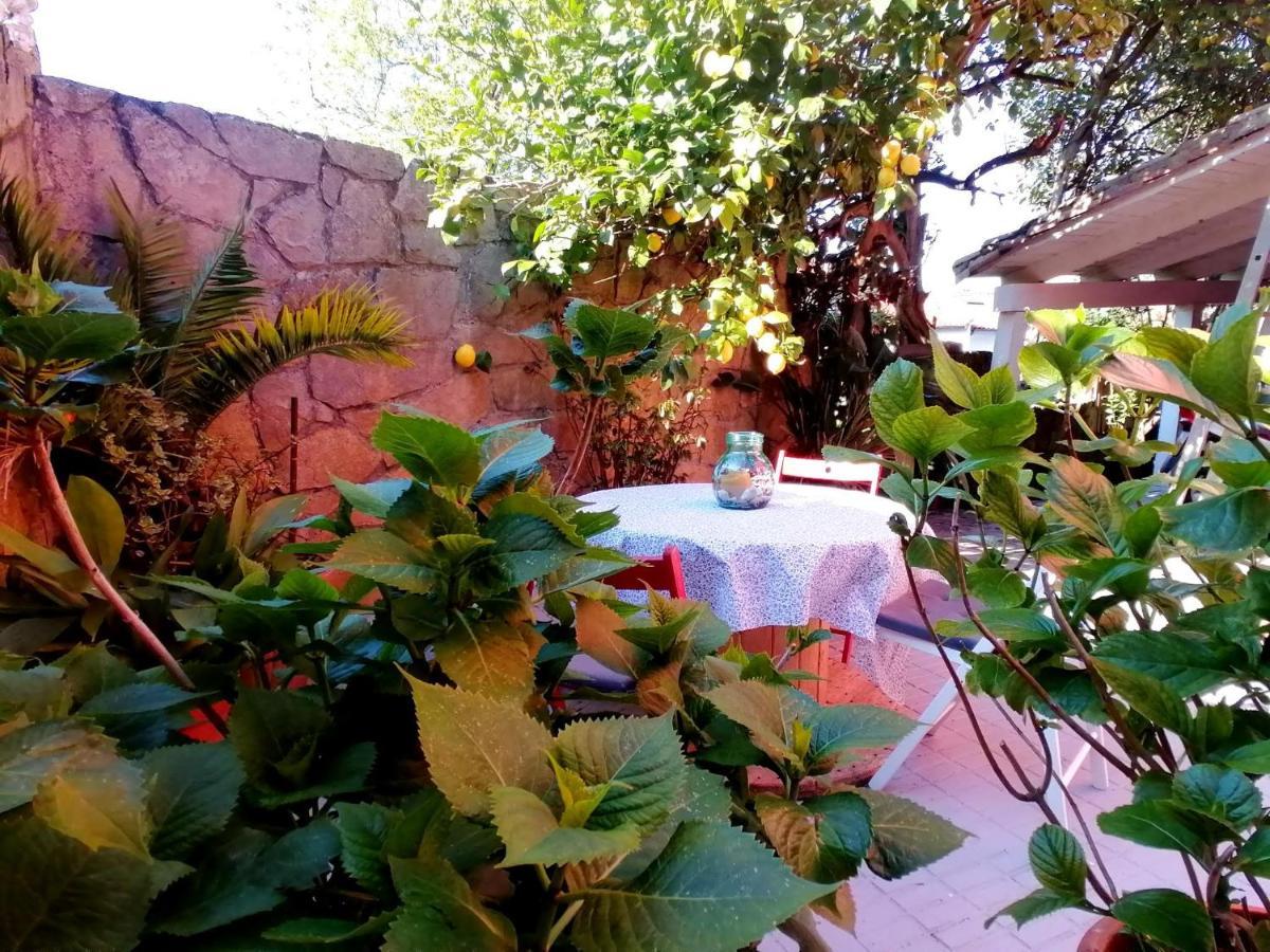 Hotel Las Palmeras Селорио Экстерьер фото